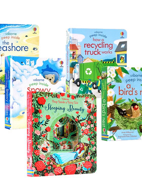 Usborne偷偷看里面系列5册