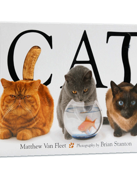 Cat 猫英文原版绘本 精装大开本纸板触摸操作翻翻书 机关抽拉 Matthew Van Fleet 儿童启蒙认知益智游戏玩具亲子趣味互动游戏动物