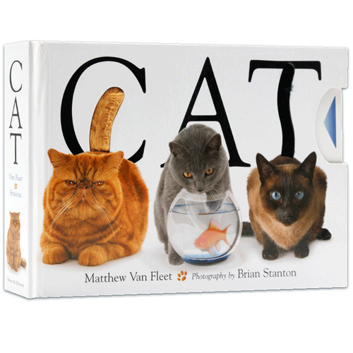 猫英文原版纸板触摸抽拉书