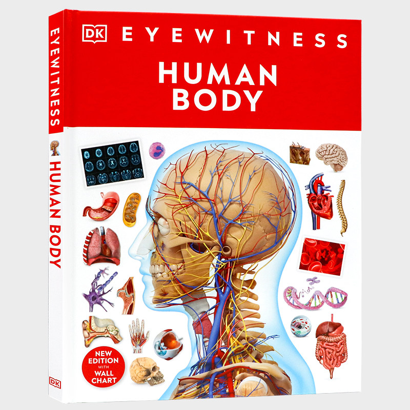 DK出品 目击者系列人体奥秘英文原版  DK Eyewitness Human Body 身体认知指南青少年儿童英语科普百科读物 精装大开