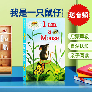 我是一只鼠仔 大自然认知小动物认知英语阅读 我是一只兔子系列 bunny 幼儿童英语启蒙早教读本 Mouse 绘本 英文原版