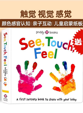 See Touch Feel 英文原版绘本触觉视觉感官认知触摸书 A First Sensory Book幼儿童早教启蒙英语读物亲子互动游戏书内附小镜子