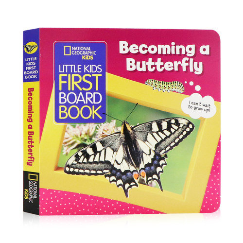 国家地理儿童蝴蝶 英文原版 Little Kids First Board Book Becoming a Butterfly 儿童科普纸板书亲子互动学习科普儿童图画书籍