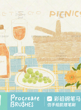 【彩铅钢笔马克笔】Procreate笔刷仿手绘插画ipad肌理涂鸦ST9