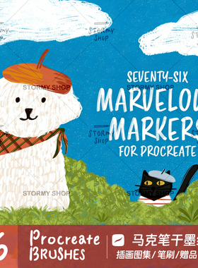 【马克笔/书写】procreate笔刷插画干墨仿手绘肌理纹理干介质ST38