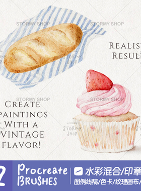 【水彩】Procreate笔刷插画仿手绘水墨国画纸纹板绘ST48