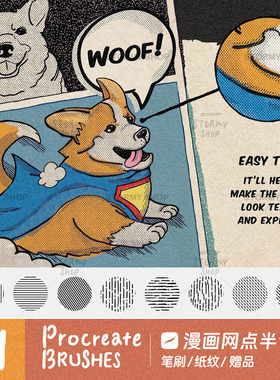 【网点半色调】procreate笔刷动漫插画网纹ipad复古波普噪点ST19