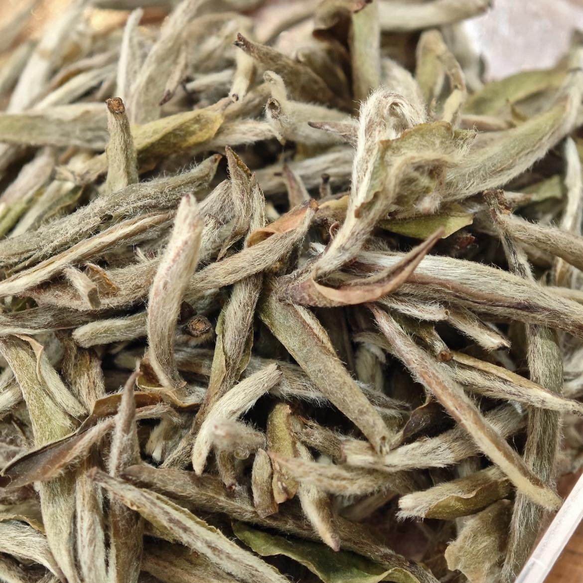2016年福鼎白茶白毫银针可可香老银针蜜香蜜甜润春茶茶叶白茶高山