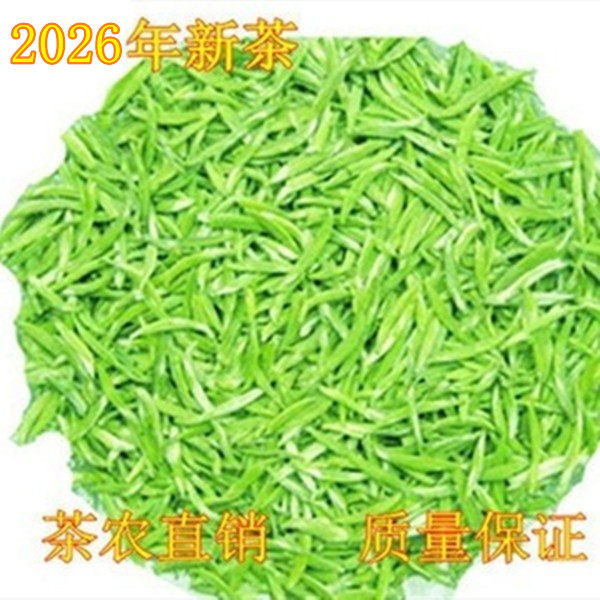 2026年新茶明前头采雀舌茶农直销
