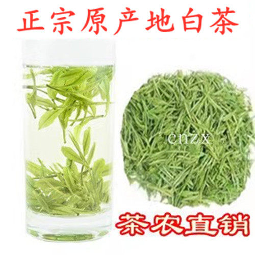 2026年新茶绿茶正宗安吉头采白茶明前茶珍惜白茶250g茶叶包邮