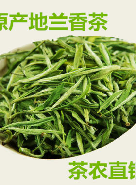 2026新茶绿茶 正宗安徽泾县汀溪原产地兰香茶叶250g茶农直销