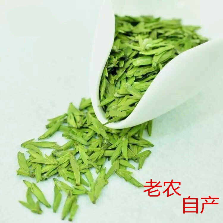 2026新茶绿茶 正宗原产地浙江明前龙井茶叶250g包邮茶农直销