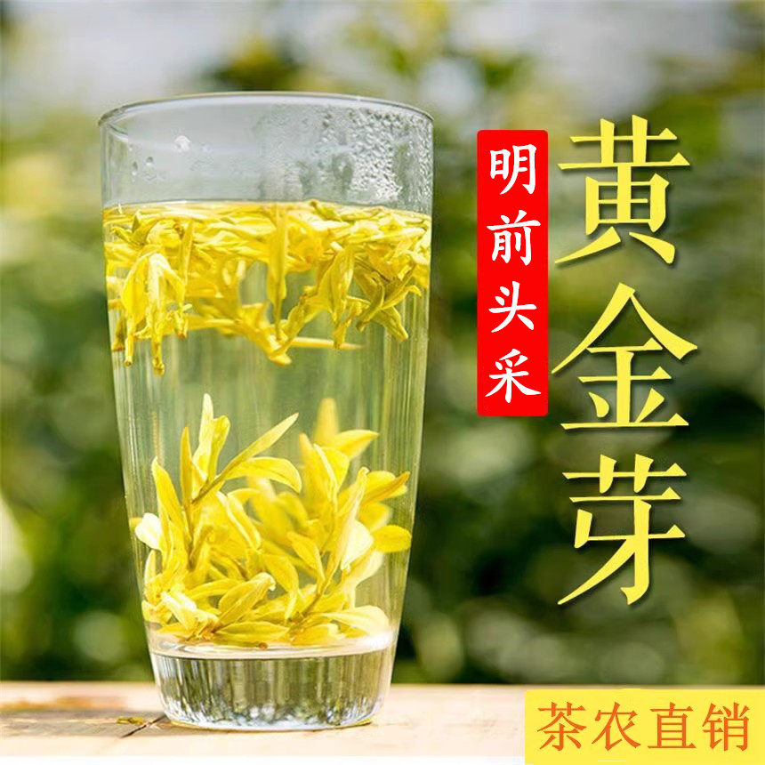 2026明前新茶 正宗安吉原产地白茶黄金芽茶叶250g珍稀白茶