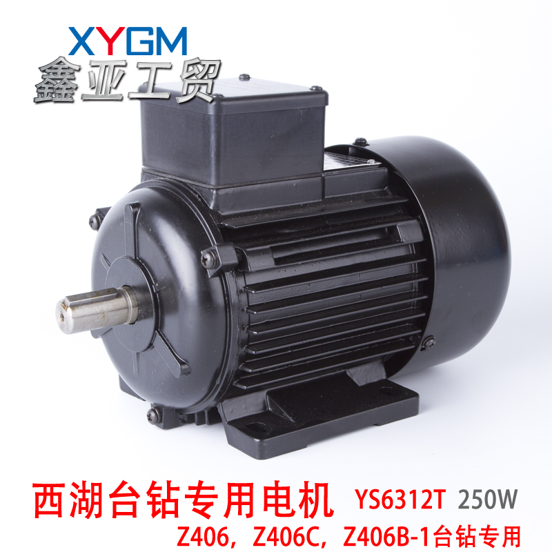 Î÷ºþÅÆÌ¨×ê380Vµç»ú250W YS6312T 2800תZ406 Z406C Z406B-1רÓÃ