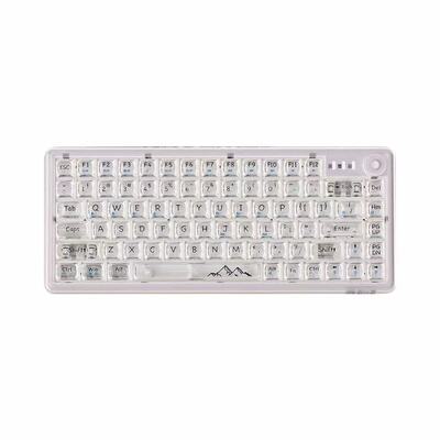 EWEADN/前行者 V82 三模 机械键盘PC高透键帽麻将音办公白色透明