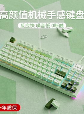 前行者V87有线键盘鼠标套装女生无线办公真机械手感静音电脑游戏