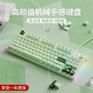 前行者V87有线键盘鼠标套装女生无线办公真机械手感静音电脑游戏