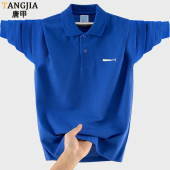 春季 POLO衫 新款 翻领T恤 男士 初高中学生帅气打底衫 青少年纯棉长袖