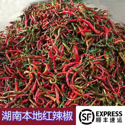 顺丰湖南新鲜红辣椒5斤包邮