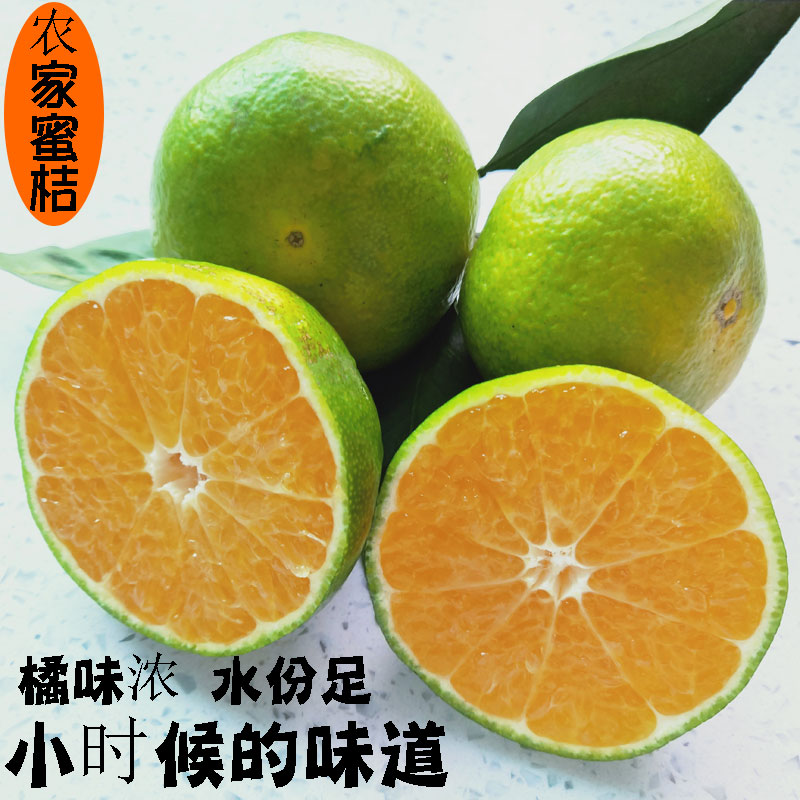 湖南东江湖蜜桔橘子新鲜桔子当季农家自种青皮薄皮柑橘5斤包邮