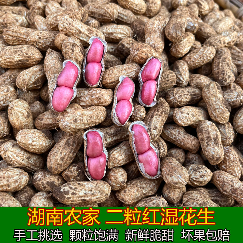 5斤新鲜农家自种红皮花生