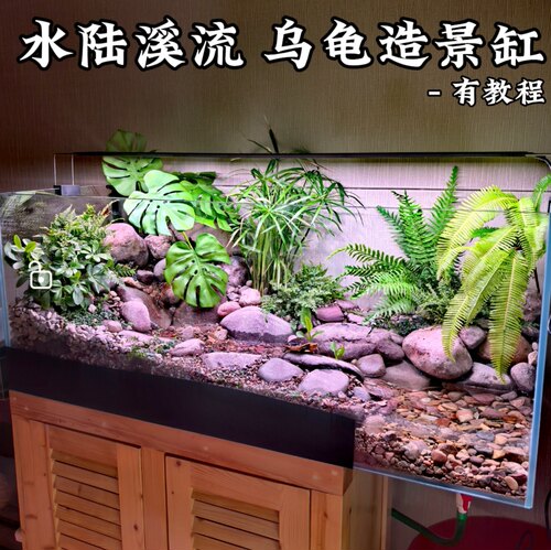 河道小溪流水生态造景黄缘乌龟缸