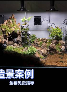 安缘半水龟仿生态环境布景 安布龟金钱龟木纹龟 水龟溪流流水造景