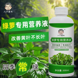 绿萝营养液专用肥料家用植物盆栽吊兰水培通用型绿箩营业液叶面肥