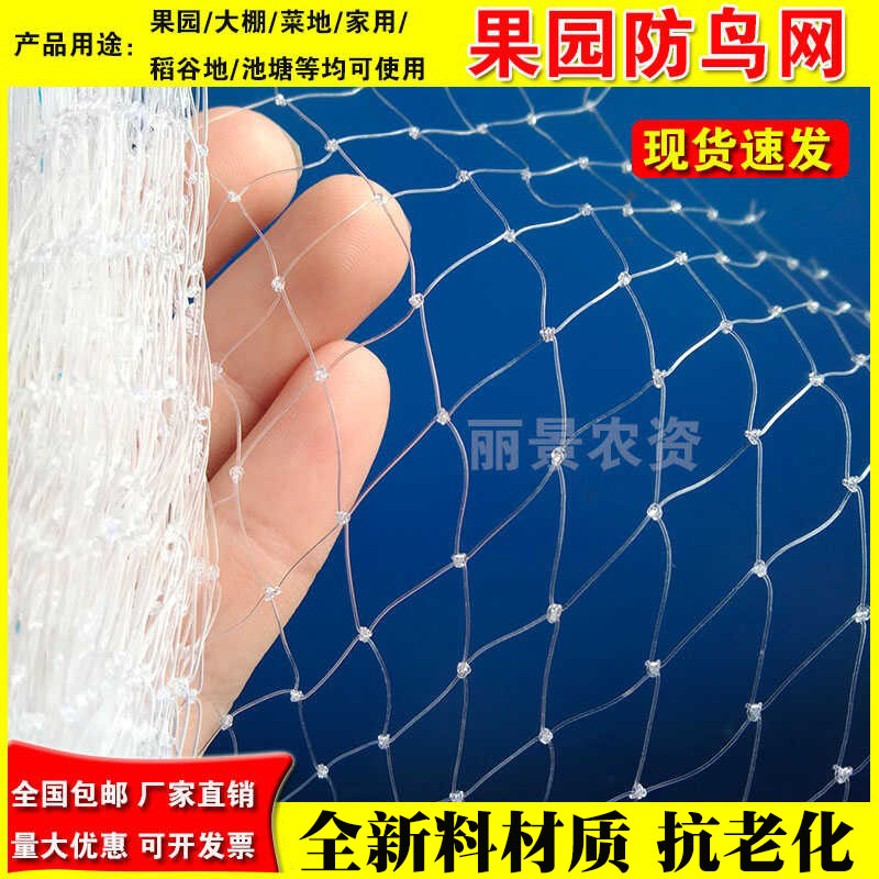全新料果园防鸟网厂家直销抗老化