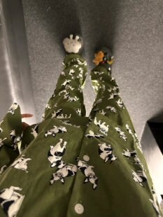 侘町2025年新款 睡衣卡通休闲可外穿家居服女 绿色小狗纯棉磨毛长袖