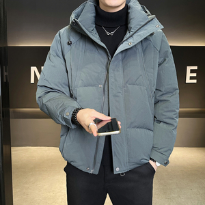 鹅绒标90绒冬季连帽羽绒服男外套B320-5586-P365有成衣报告图片