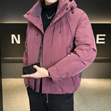 鹅绒标90绒冬季连帽羽绒服男外套B320-5587-P365有成衣报告,男装羽绒服,电商B320, 鹅绒标90绒冬季连帽羽绒服男外套B320-5587-P365有成衣报告,男装羽绒服,电商B320,