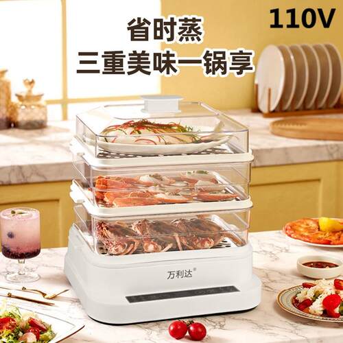 跨境110V伏多功能电蒸锅蒸笼32L家用智能大容量电蒸炉热饭菜神器