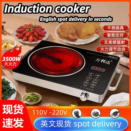 110V American standard Taiwan Canada electric ceramic stove