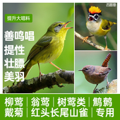 西蜀堂柳莺鸟食长尾山雀鹪鹩饲料提升大唱柳莺翁莺鸟食饲料颗粒面