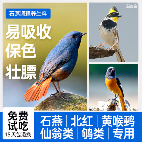 西蜀堂石燕鸟食虎头凤春暖鸟食北红饲料仙翁嗜虫鸟保色亮羽养生料 - 封面