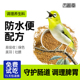 西蜀堂手工防水便绣眼鸟食绣眼专用饲料绣眼鸟饲料美羽调理养生料