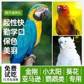 西蜀堂手工鹦鹉滋养丸鹦鹉鸟粮饲料鹦鹉饲料中大型鹦鹉专用饲料