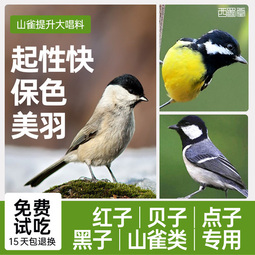 西蜀堂保色营养提升大唱山雀鸟食
