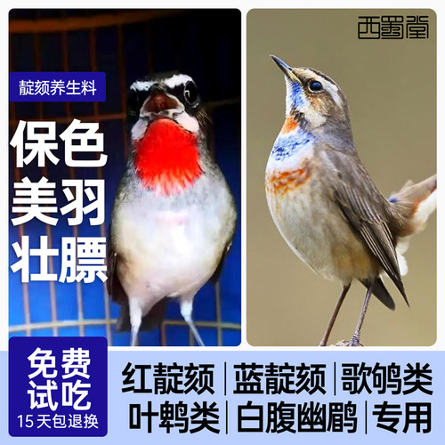 西蜀堂手工靛颏鸟食壮膘保色靛颏饲料嗜虫杂鸟仙翁幽鹛叶鹎鸟鸟食 - 封面