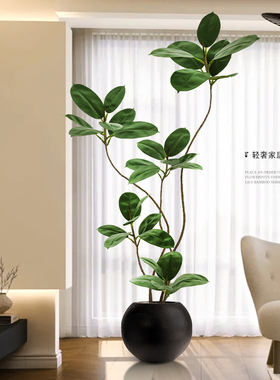 假绿植装饰仿真室内盆栽大型落地摆件客厅轻奢防真绿色植物黑金刚