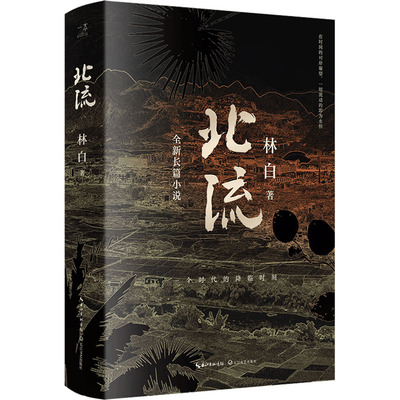 北流 长江文艺出版社 林白 著