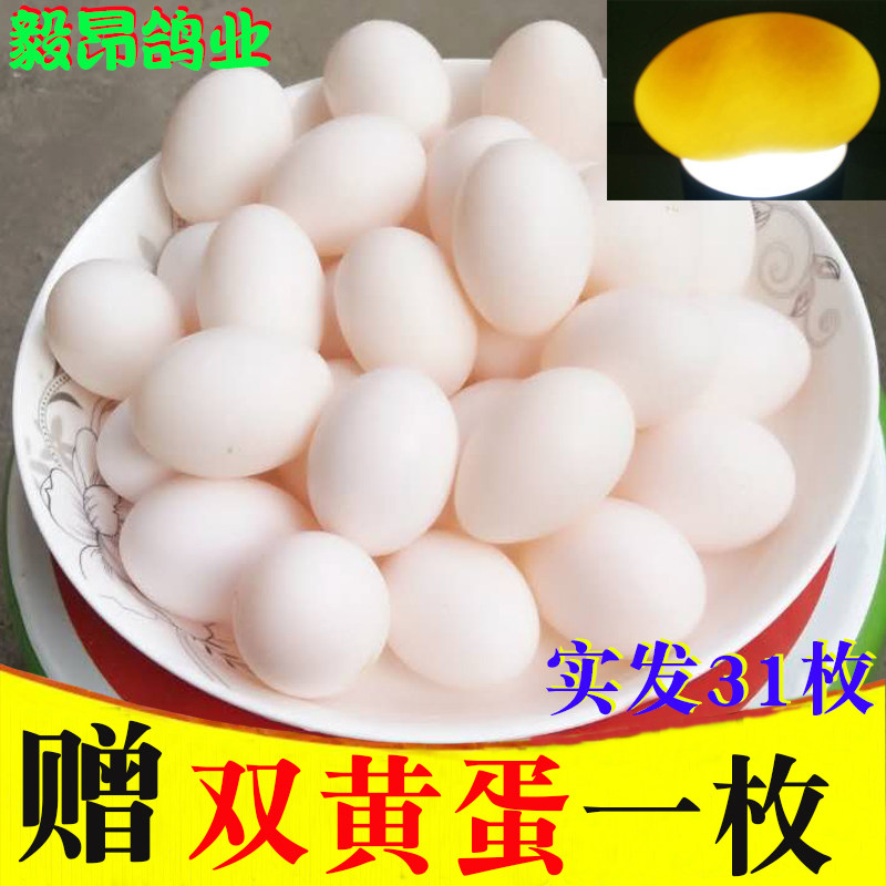 【顺丰包邮】鸽子蛋包邮新鲜30枚装孕妇鸽蛋白鸽蛋农家散养30个装