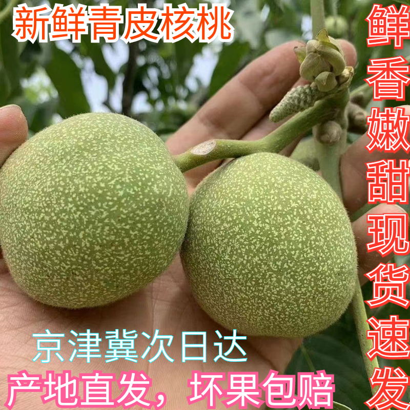 2025河北特产新鲜青皮核桃孕妇专用鲜核桃仁现摘现发薄皮核桃整箱
