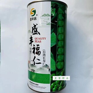 豌豆种子种籽甜脆青碗豆种青豆台湾长寿仁四季秋冬季孑豌豆种高产
