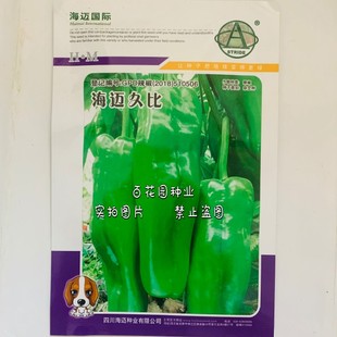 海迈久比 辣椒种子早熟大果牛角椒嫩果绿色皮薄光滑大椒种籽高产