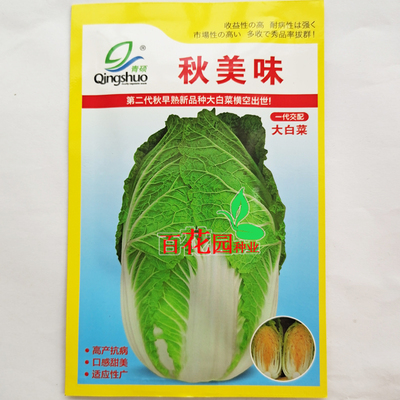 百花园种业不开秋播大白菜子