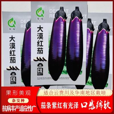 秦茄大漠红茄种籽杂交中早熟茄子种子云贵川华南地区春季播蔬菜种