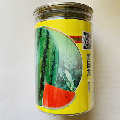 西瓜种子籽美国龙大果高产花皮椭圆形红瓤春季瓜农田园大棚易种植