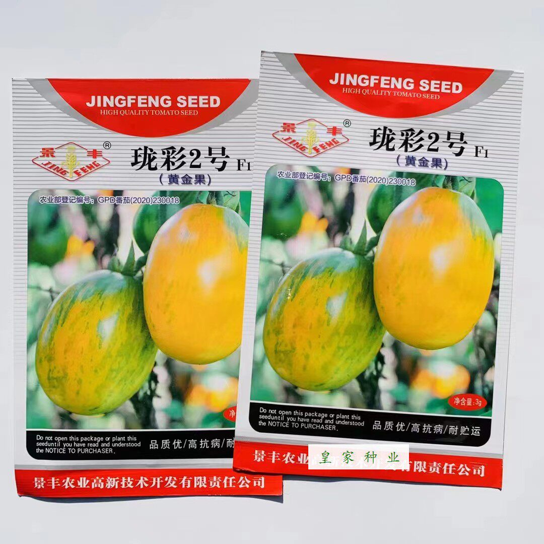 景丰珑彩2号黄金果种子无限生长型肉厚籽少圣女果种子小番茄种籽
